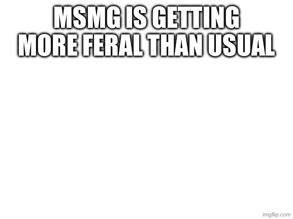 Blank White Template | MSMG is getting more feral than usual | image tagged in blank white template | made w/ Imgflip meme maker