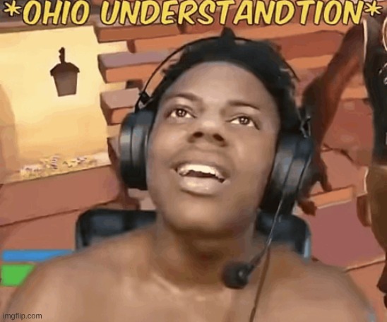 ohio understandtion | image tagged in ohio understandtion | made w/ Imgflip meme maker