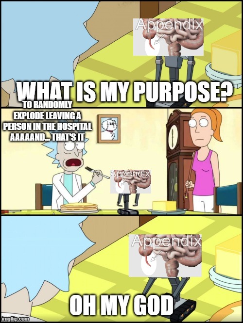 What is my purpose | To randomly explode leaving a person in the hospital aaaaand... that's it | image tagged in what is my purpose | made w/ Imgflip meme maker