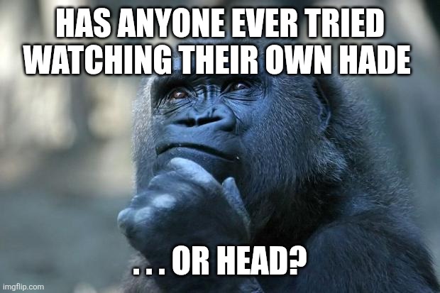 Deep Thoughts | Has anyone ever tried watching their own hade . . . Or head? | image tagged in deep thoughts | made w/ Imgflip meme maker