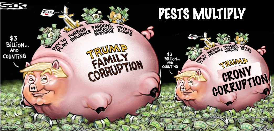 The clog in our economic artery | pests multiply; crony
corruption | image tagged in trump,corruption,kleptocracy,idiocracy,military industrial complex,cronyism | made w/ Imgflip meme maker