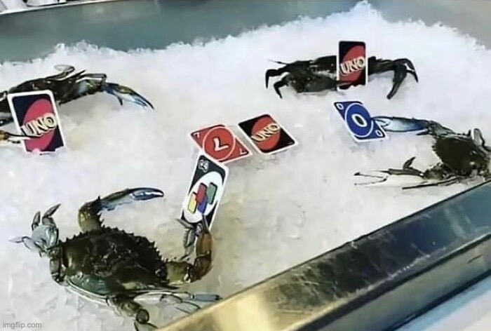 image tagged in msmg | made w/ Imgflip meme maker