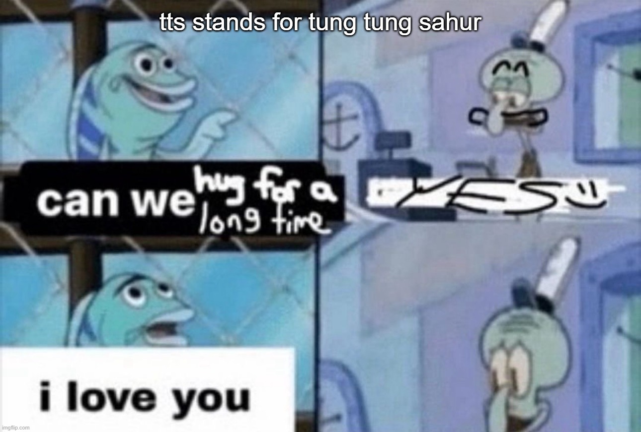 can we hug for a long time | tts stands for tung tung sahur | image tagged in can we hug for a long time | made w/ Imgflip meme maker