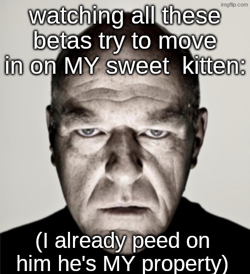 LEAVE HIM ALOE | watching all these betas try to move in on MY sweet  kitten:; (I already peed on him he's MY property) | image tagged in dean norris mad | made w/ Imgflip meme maker