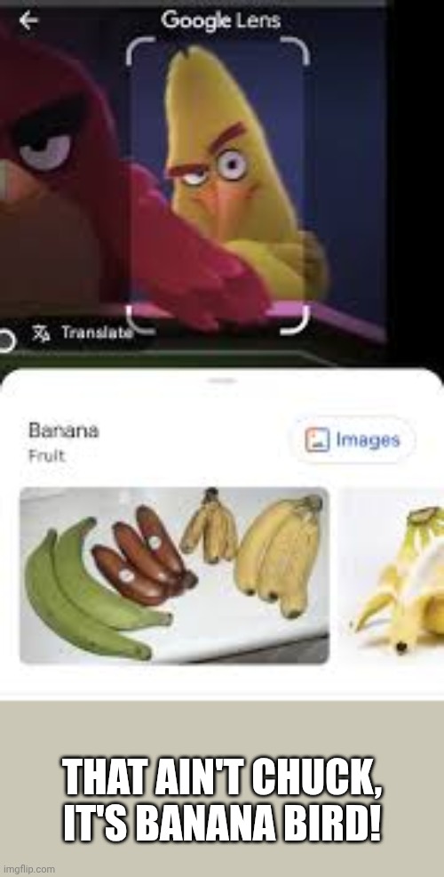 That ain't Chuck, it's Banana Bird | That ain't Chuck, it's Banana Bird! | image tagged in banana chuck,google lens | made w/ Imgflip meme maker
