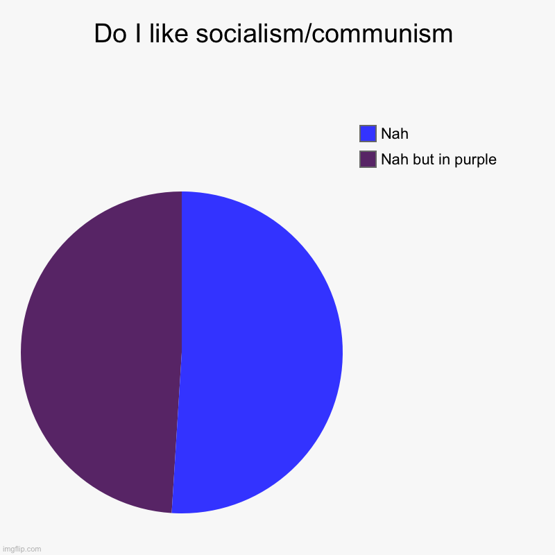 I really really really don’t like it | Do I like socialism/communism | Nah but in purple , Nah | image tagged in pie chart,memes | made w/ Imgflip chart maker