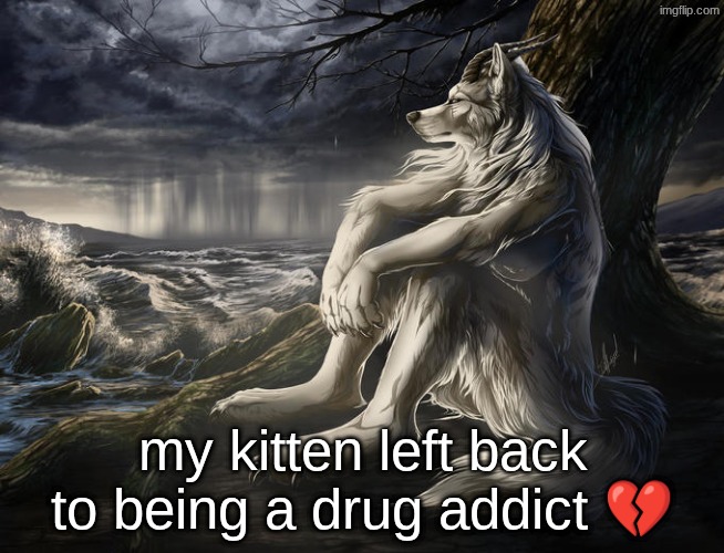 miss u george | my kitten left back to being a drug addict 💔 | image tagged in lone wolf | made w/ Imgflip meme maker