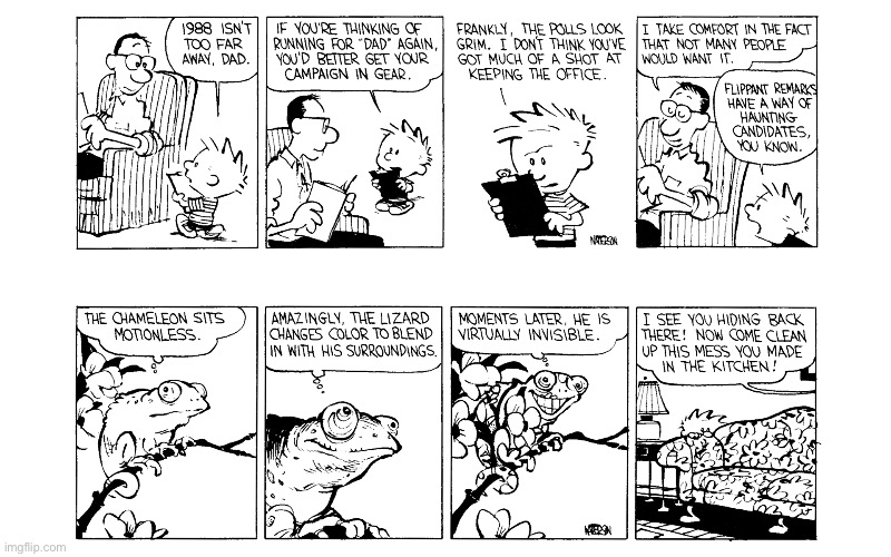 image tagged in calvin and hobbes,comics | made w/ Imgflip meme maker