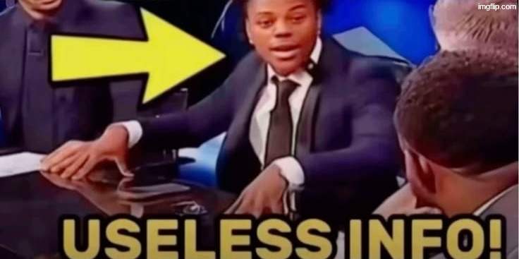 useless info | image tagged in useless info | made w/ Imgflip meme maker