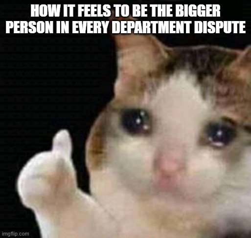 There's no other place for employment memes | How it feels to be the bigger person in every department dispute | image tagged in sad thumbs up cat,you had one job | made w/ Imgflip meme maker