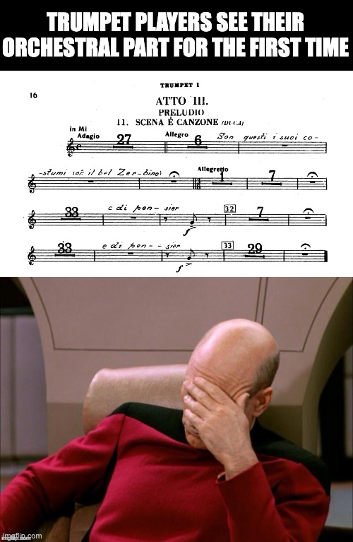 Trumpet player meme | Trumpet players see their orchestral part for the first time | image tagged in picard high def,trumpet,music,smh | made w/ Imgflip meme maker