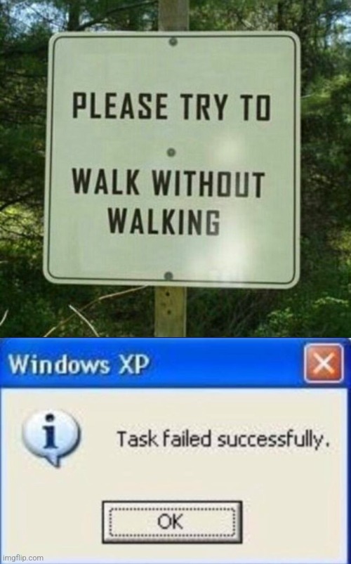 image tagged in task failed successfully | made w/ Imgflip meme maker