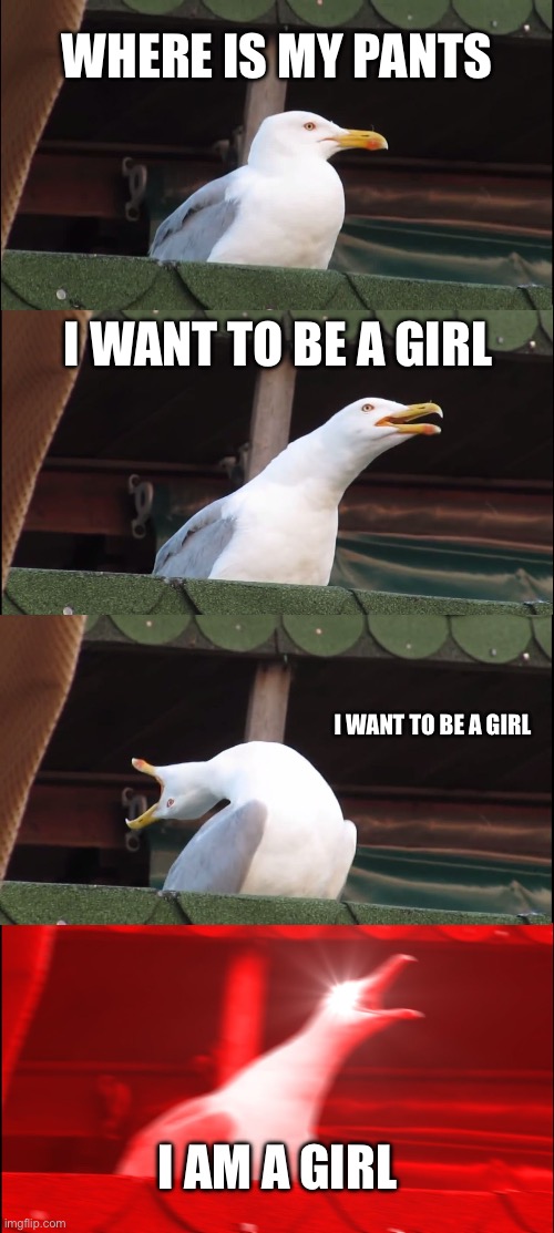 Inhaling Seagull Meme | where is my pants; i want to be a girl; i want to be a girl; i am a girl | image tagged in memes,inhaling seagull | made w/ Imgflip meme maker