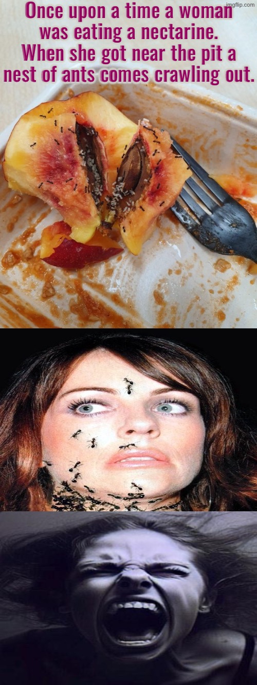 That'd Be Nightmarish | Once upon a time a woman was eating a nectarine. When she got near the pit a nest of ants comes crawling out. | image tagged in cursed images,nightmare fuel,unsee juice,drink bleach,ants,what a terrible day to have eyes | made w/ Imgflip meme maker