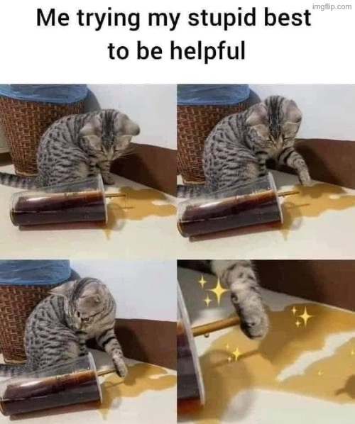 Trying My Best | image tagged in cats,funny cats,stupid,help,duhhh dumbass,spilled | made w/ Imgflip meme maker