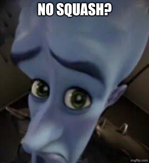 megamind no b | No squash? | image tagged in megamind no b | made w/ Imgflip meme maker