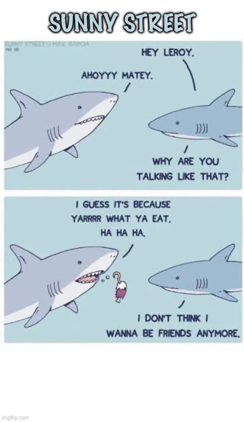 Sunny street | image tagged in comics,sunny street,sharks,pirate talk,annoying | made w/ Imgflip meme maker
