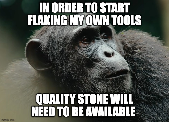 monkey tools | in order to start flaking my own tools; quality stone will need to be available | image tagged in monkey | made w/ Imgflip meme maker