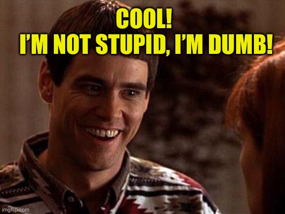 Dumb And Dumber | Cool!
 I’m not stupid, I’m dumb! | image tagged in dumb and dumber | made w/ Imgflip meme maker