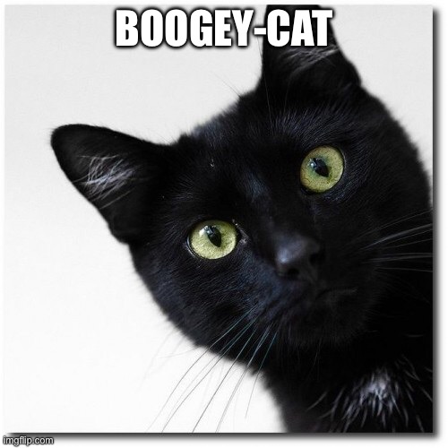 Black Cats Matter | Boogey-cat | image tagged in black cats matter | made w/ Imgflip meme maker