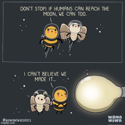 image tagged in bee,moth,astronauts,moon,light bulb,journey | made w/ Imgflip meme maker