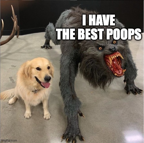 I have the best poops | i have the best poops | image tagged in dog vs werewolf,twitch,joe rogan,shitpost,make america great again | made w/ Imgflip meme maker