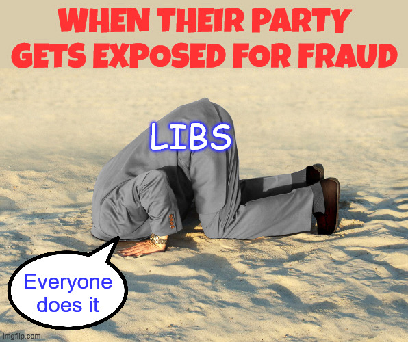 dem party fraud | When their party gets exposed for fraud; libs; Everyone does it | image tagged in head in sand,dem party fraud,liberal hypocrisy | made w/ Imgflip meme maker