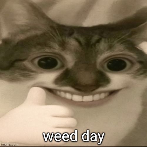 bombastic side eye cat v3 | weed day | image tagged in bombastic side eye cat v3 | made w/ Imgflip meme maker