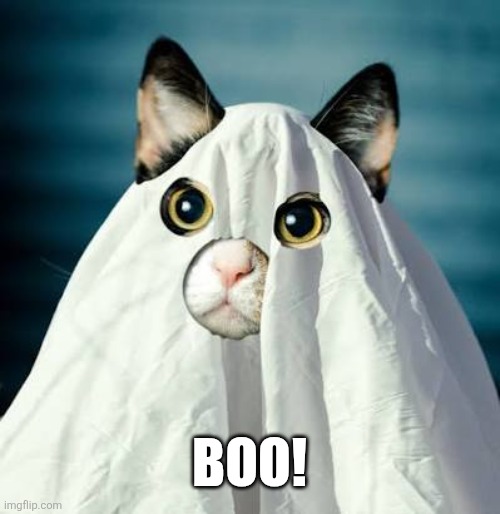 Boo! | made w/ Imgflip meme maker