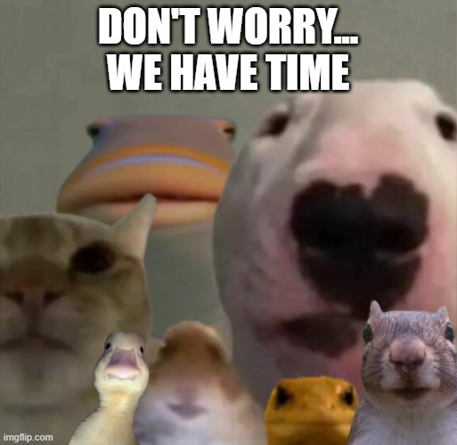 The council remastered | don't worry... We have time | image tagged in the council remastered | made w/ Imgflip meme maker