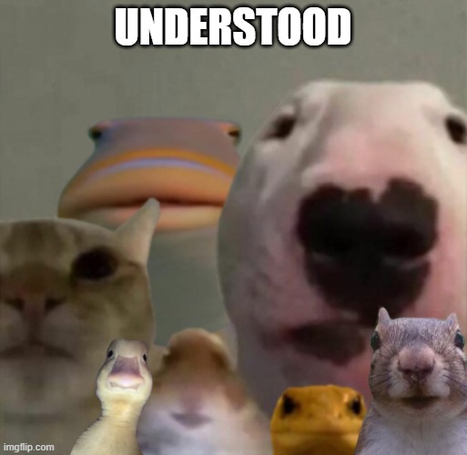 understood | image tagged in the council remastered | made w/ Imgflip meme maker