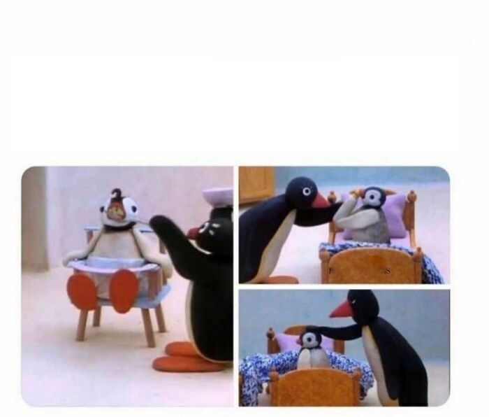 Penguin feeding mama Blank Meme Template