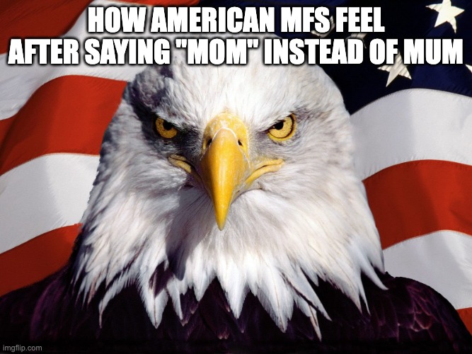 OH BEAUTIFUL FOR SPACIOUS SKIES OH FREEDOM | how American mfs feel after saying "mom" instead of mum | image tagged in freedom eagle,america,english,americans | made w/ Imgflip meme maker