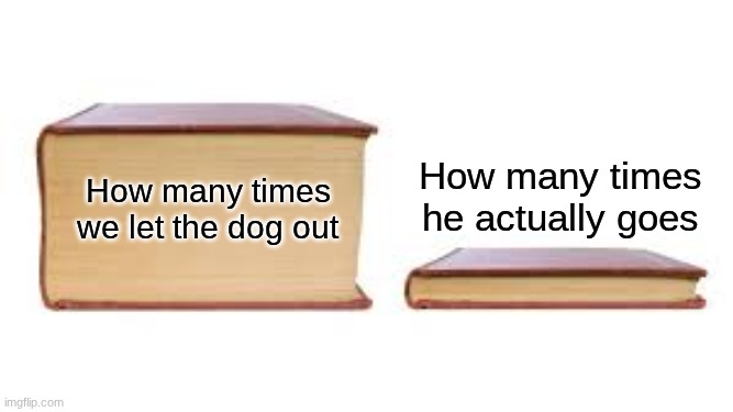 ANGREY | How many times he actually goes; How many times we let the dog out | image tagged in big book small book,dog | made w/ Imgflip meme maker
