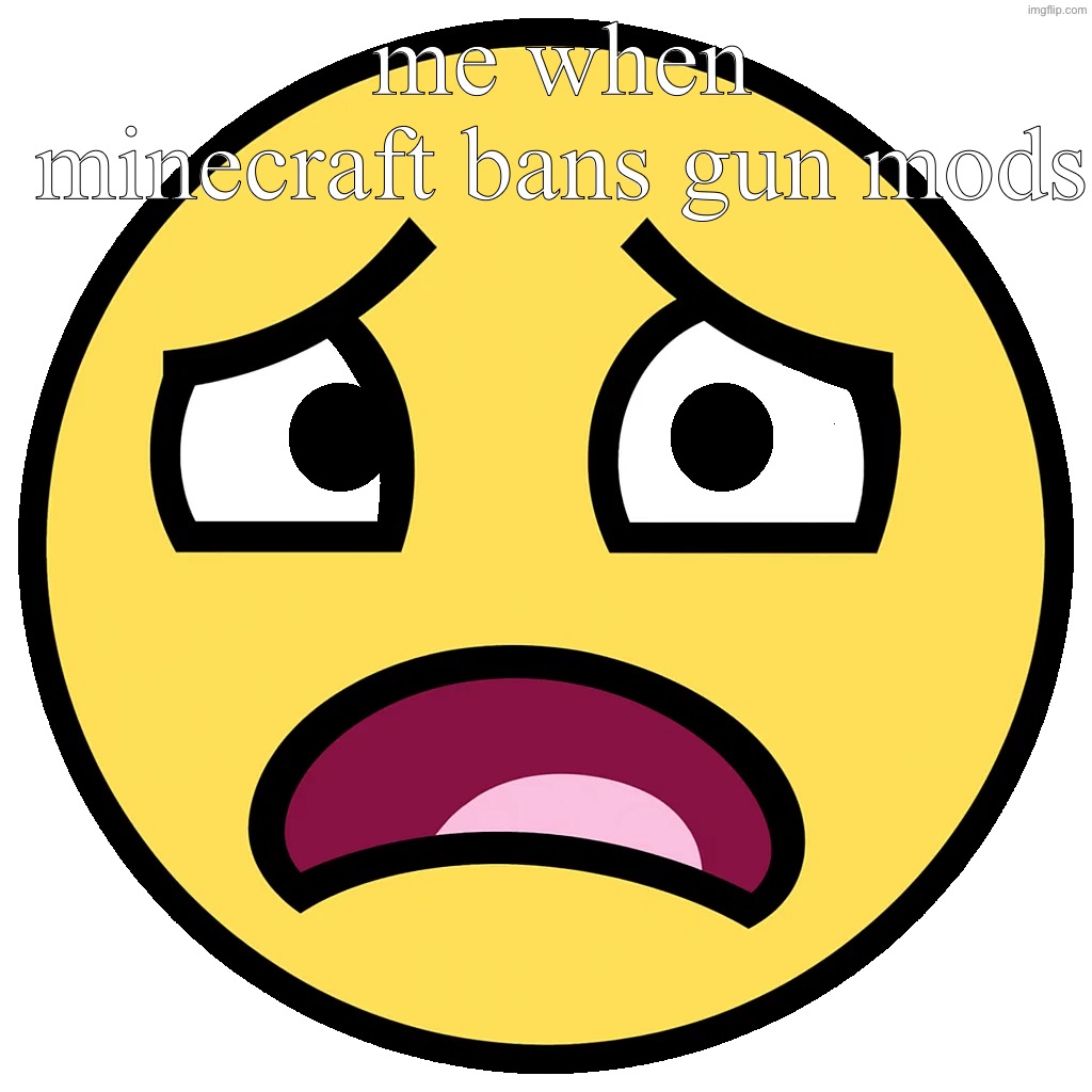 what the fuck (slightly improved | me when minecraft bans gun mods | image tagged in what the fuck slightly improved | made w/ Imgflip meme maker