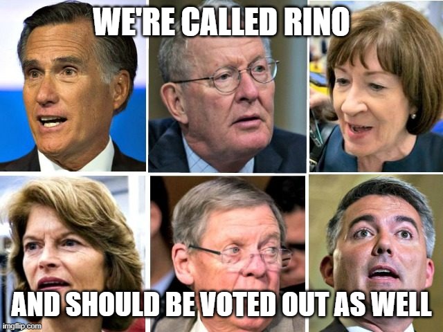 RINO Republicans | we're called RINO and should be voted out as well | image tagged in rino republicans | made w/ Imgflip meme maker