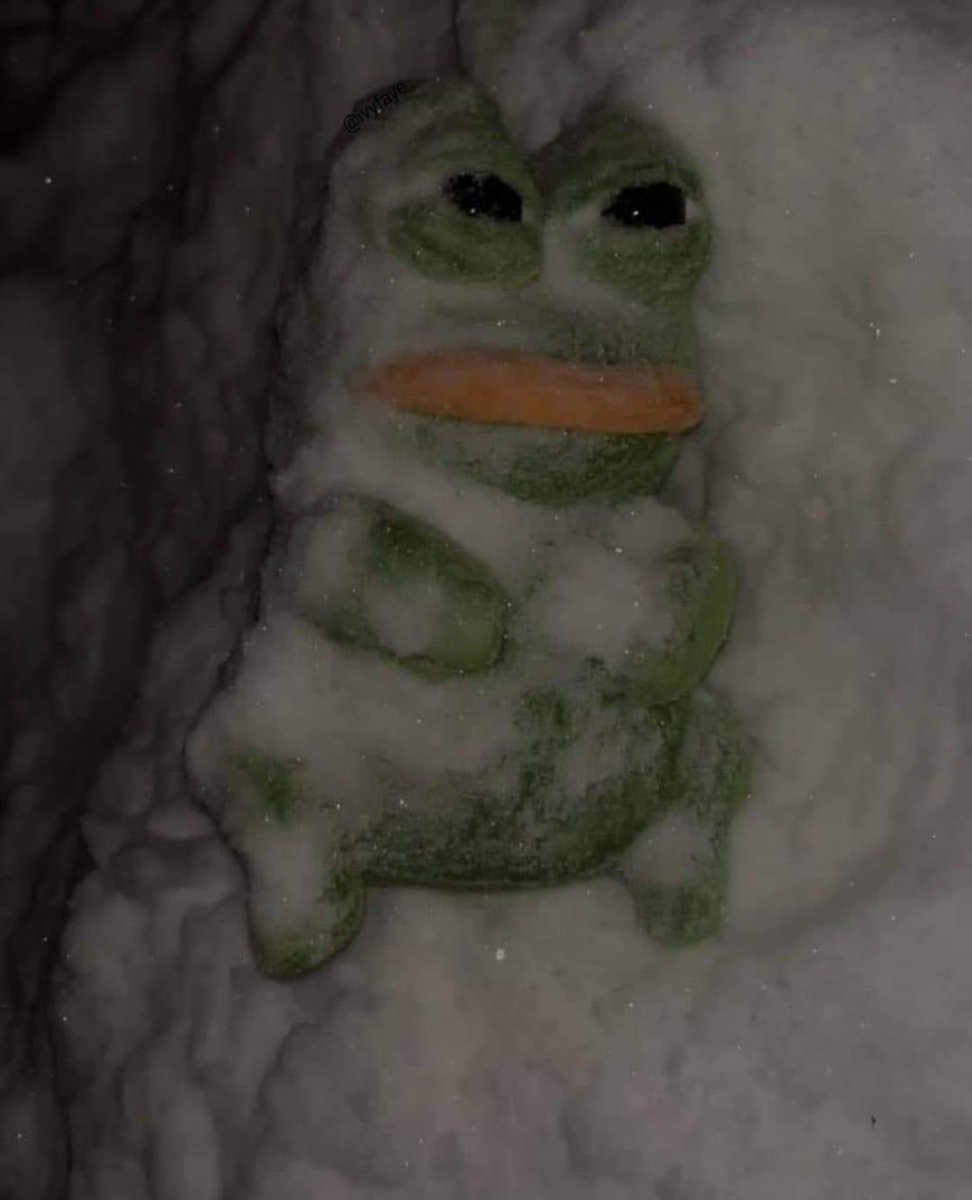 Frozen Frog Doll Blank Meme Template