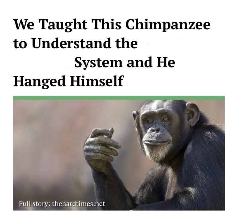 We taught this chimpanzee to understand Blank Meme Template