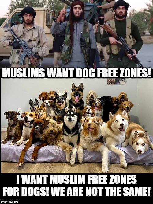 We are not the same! | Muslims want dog free zones! I want Muslim free zones for dogs! We are not the same! | image tagged in dogs,we are not the same | made w/ Imgflip meme maker