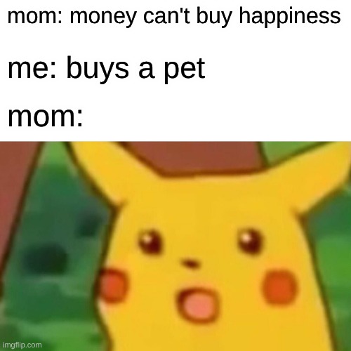 Haha | mom: money can't buy happiness; me: buys a pet; mom: | image tagged in memes,surprised pikachu | made w/ Imgflip meme maker