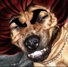 baki dog Blank Meme Template