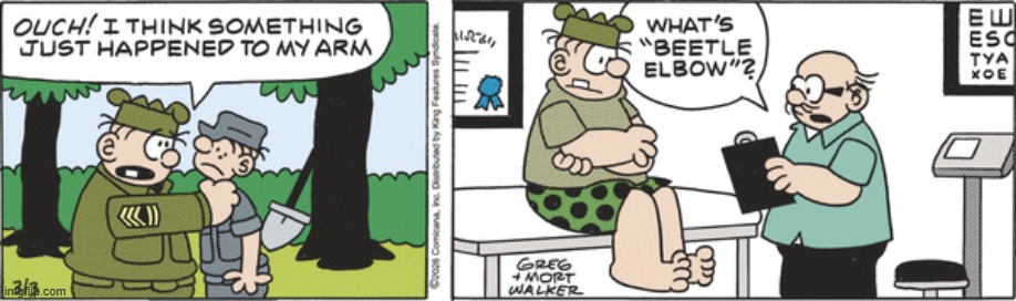 Beetle Bailey | image tagged in comics | made w/ Imgflip meme maker