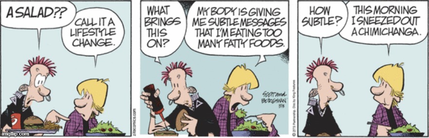 Zits | image tagged in comics | made w/ Imgflip meme maker