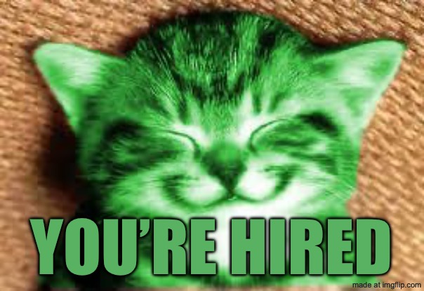 happy RayCat | You’re hired | image tagged in happy raycat | made w/ Imgflip meme maker