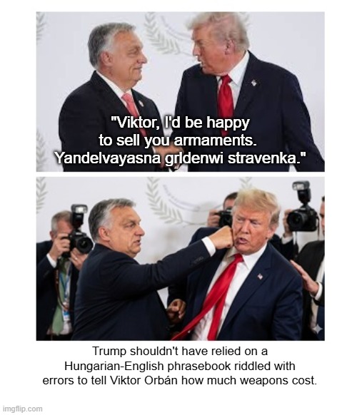 Trump Telling Viktor Orbán He'd Like To Fondle Him | "Viktor, I'd be happy to sell you armaments.  Yandelvayasna grldenwi stravenka."; Trump shouldn't have relied on a Hungarian-English phrasebook riddled with errors to tell Viktor Orbán how much weapons cost. | image tagged in viktor orban,donald trump,hungarian-english phrasebook,monty python,trump sucks | made w/ Imgflip meme maker