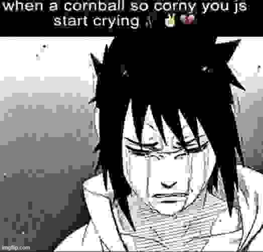 When a cornball so corny you js start crying | image tagged in when a cornball so corny you js start crying | made w/ Imgflip meme maker
