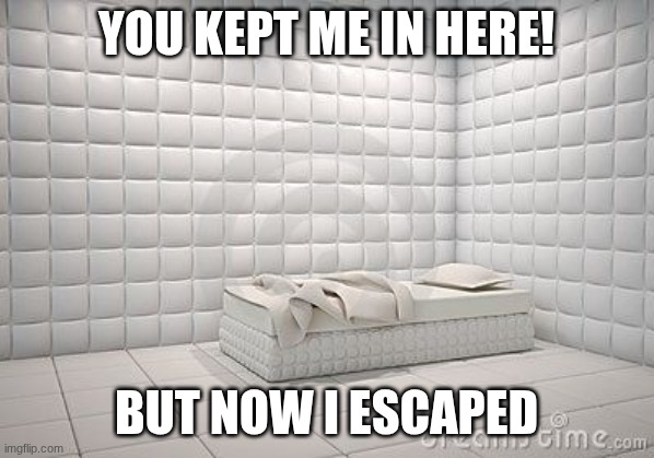 insane asylum pillow room | YOU KEPT ME IN HERE! but now I escaped | image tagged in insane asylum pillow room | made w/ Imgflip meme maker