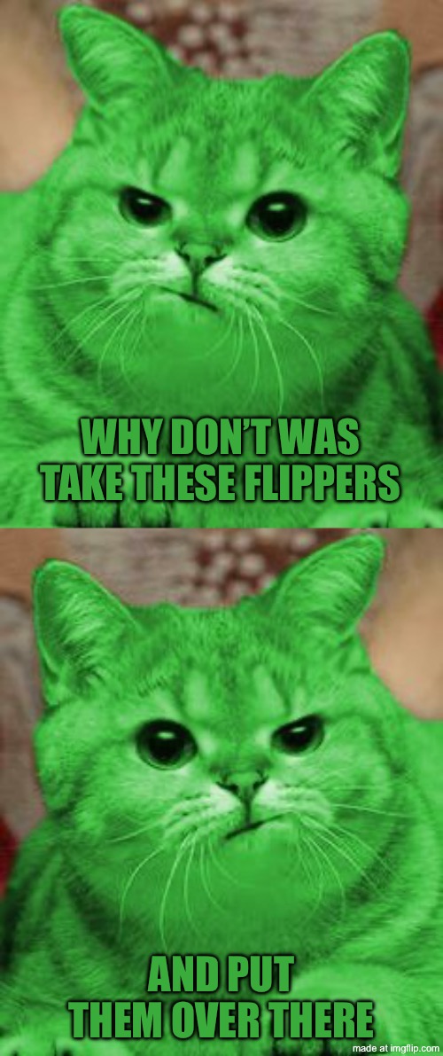 RayCat Bored | Why don’t was take these flippers; And put them over there | image tagged in raycat annoyed,memes | made w/ Imgflip meme maker