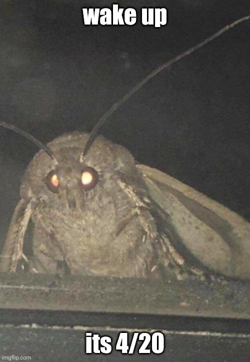 lets goooo | wake up; its 4/20 | image tagged in moth,420,april 20,yeahhhhhh,yayaya | made w/ Imgflip meme maker