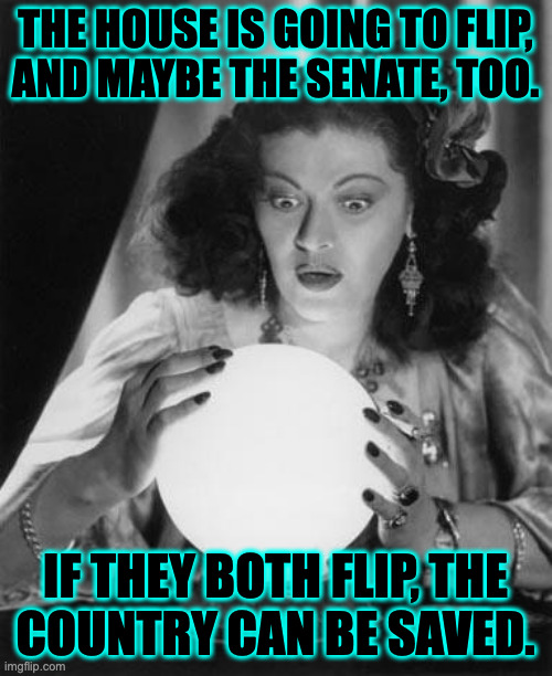 Hope and change, baby. | the house is going to flip,
and maybe the senate, too. if they both flip, the
country can be saved. | image tagged in fortune teller,memes,hope and change | made w/ Imgflip meme maker